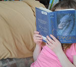 即买即用不等待的DDOS测试